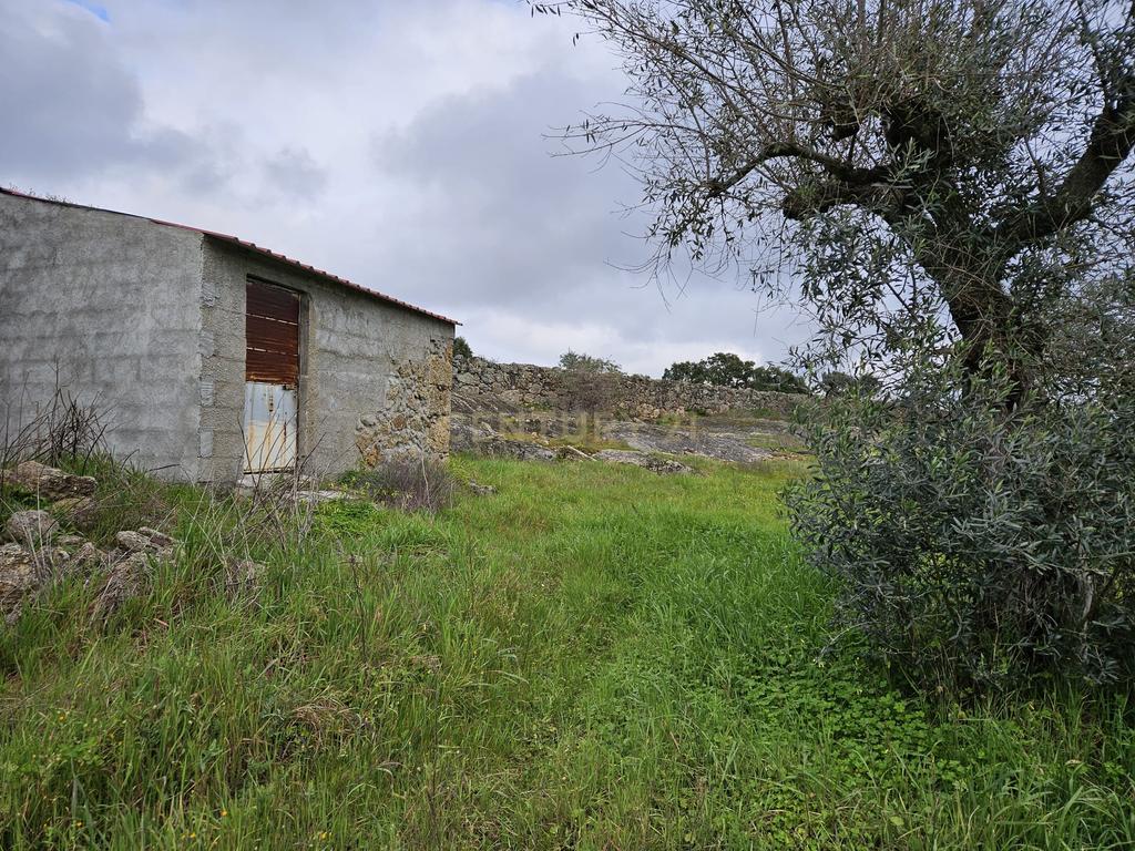 Quintinha na Lousa, Castelo Branco - Image 14