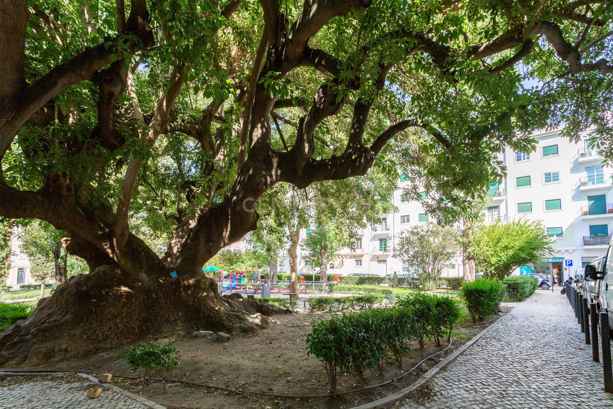 Apartamento T1 à venda em Penha de França, Lisboa — foto 34