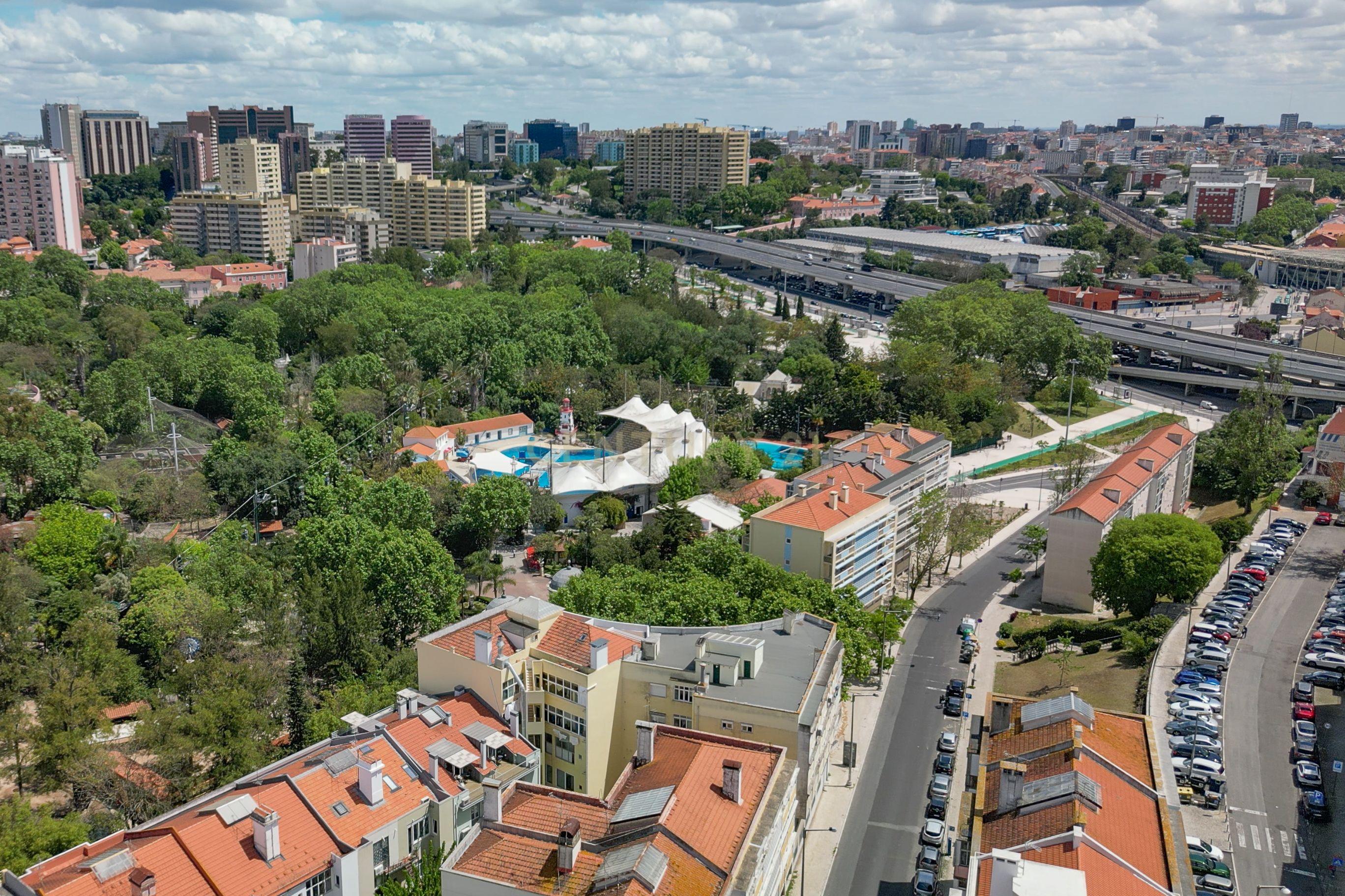 🌿 T1 com Terraço em Sete Rios – Ideal para Jovens e Casais Modernos - Image 23