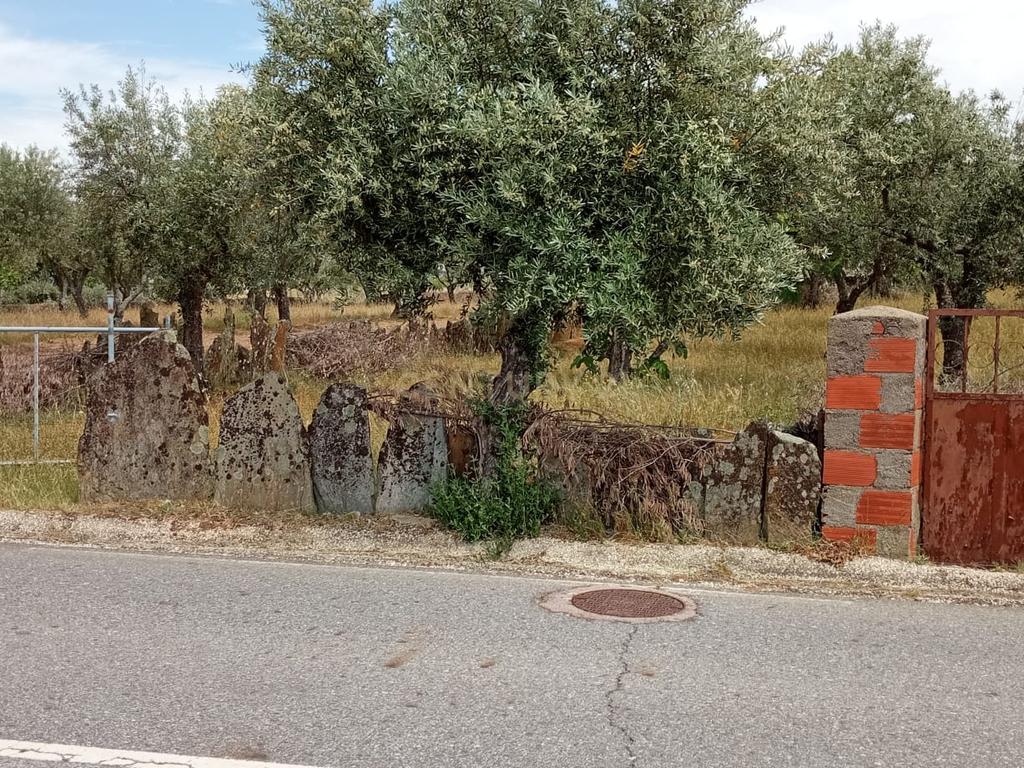 Terreno 4250m2 ,Lentiscais, Castelo Branco - Image 1