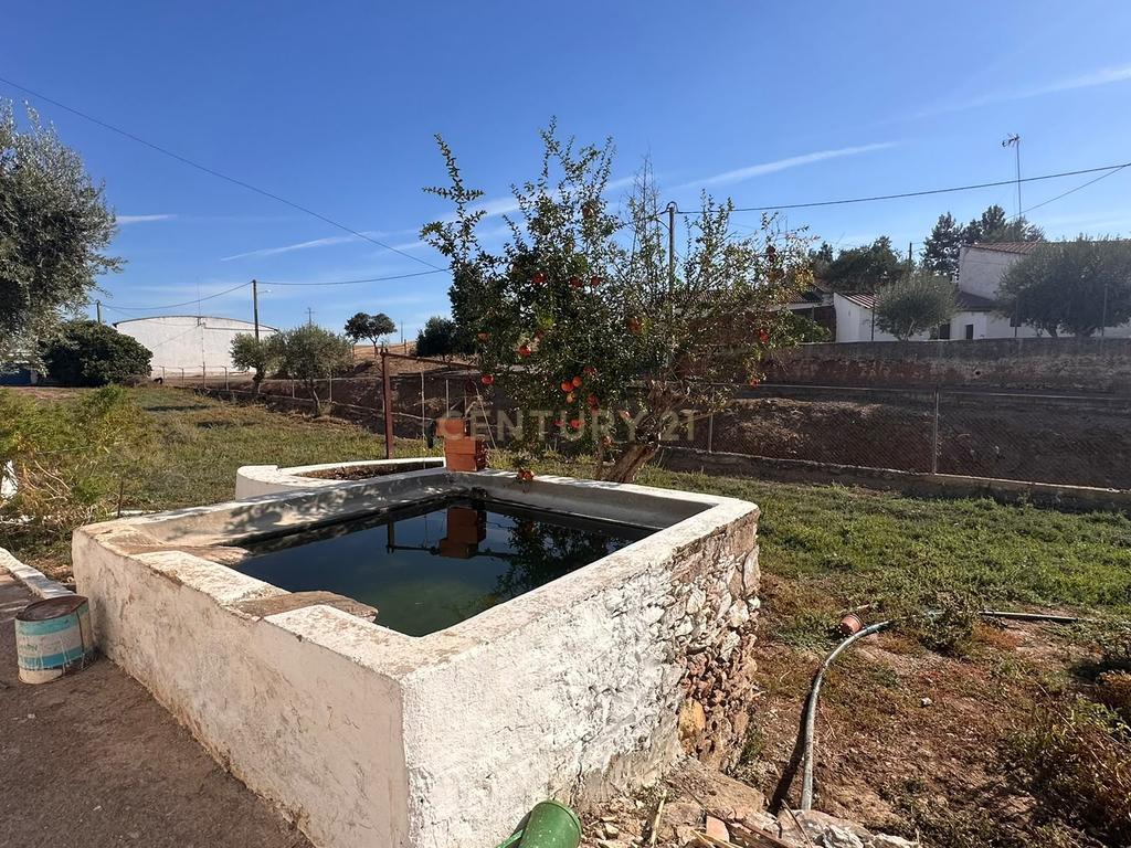 ALBERNOA-BEJA - ALENTEJO- Quinta com 1750 m2. Casa de 229 m2 Cozinha-Sala -3 quartos . Garagem. - Image 75