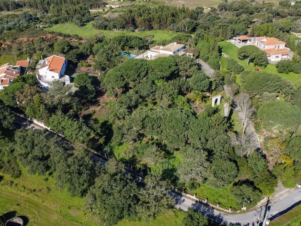 🏡 Terreno para Construção – 2.746 m² | Oportunidade Única Perto de Setúbal! 🌿 - Image 36