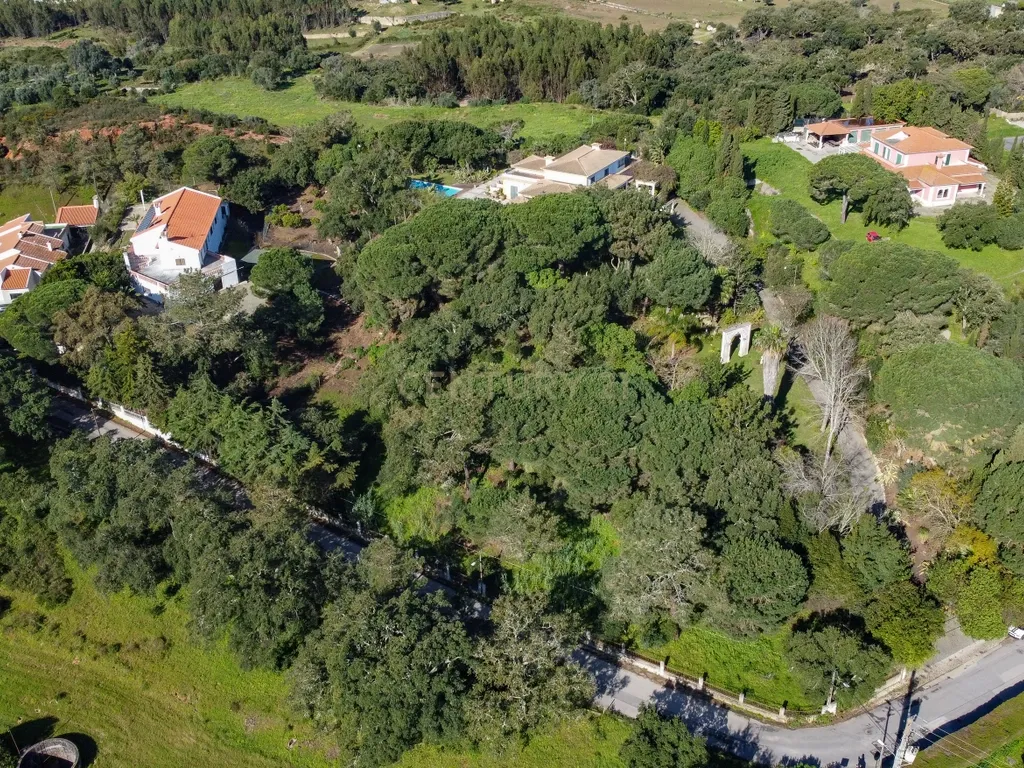 🏡 Terreno para Construção – 2.746 m² | Oportunidade Única Perto de Setúbal! 🌿 - Image 36