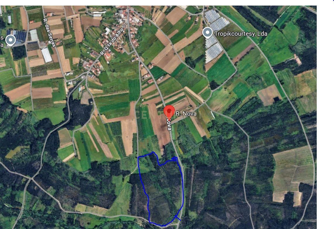 Fotografia 3 de Terreno Agro-Florestal com 30.855 m² – Quinta da Ponte, Ouca (Vagos)