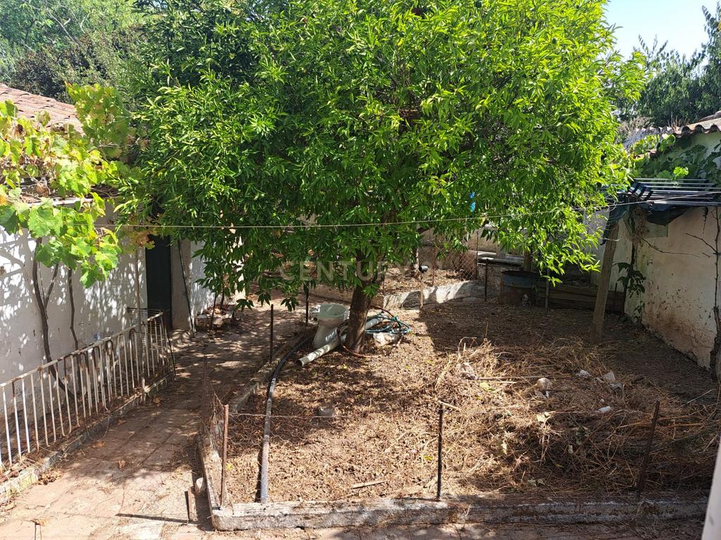 OURIQUE | UMA CASA COM HISTÓRIA, UM NOVO CAPÍTULO POR ESCREVER - Image 32