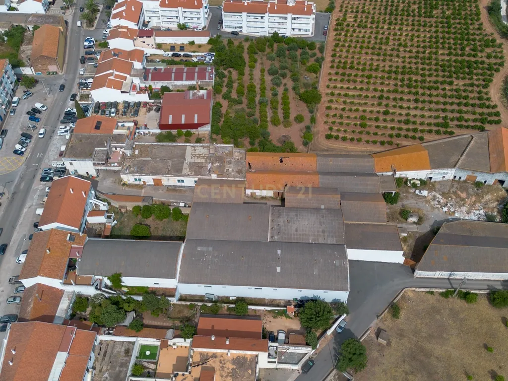 Terreno Urbano com 7.780m2 I Armazéns e Habitação I São Bartolomeu de Messines - Image 9