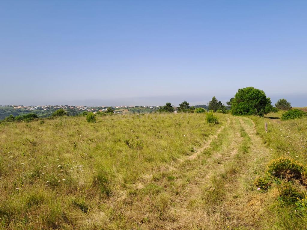 Terreno Rústico com Vista Panorâmica – Forte do Zambujal, Mafra - Image 9