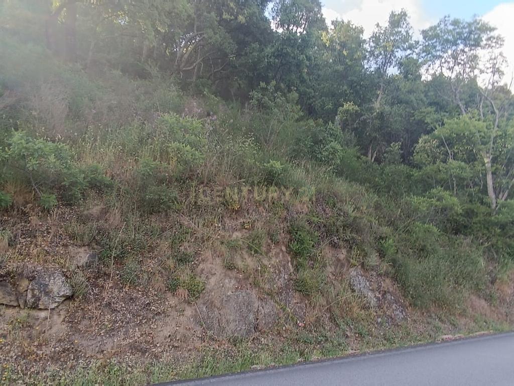 Terreno florestal com vista para a praia fluvial de Porto de Rei em Barqueiros, Mesão Frio às portas do Douro - Image 21
