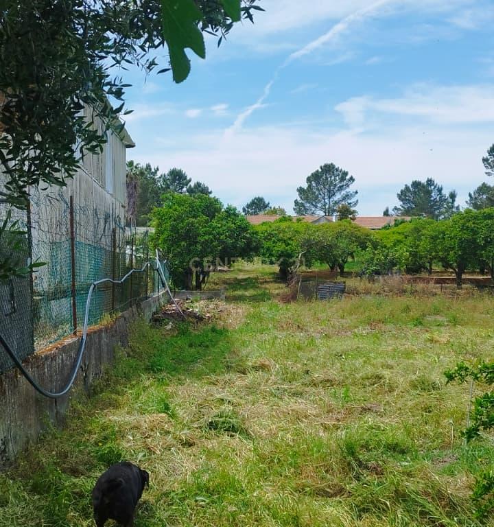 Encantadora Quinta em Palmela com 5200m2 e 196m2 privativos - Image 34