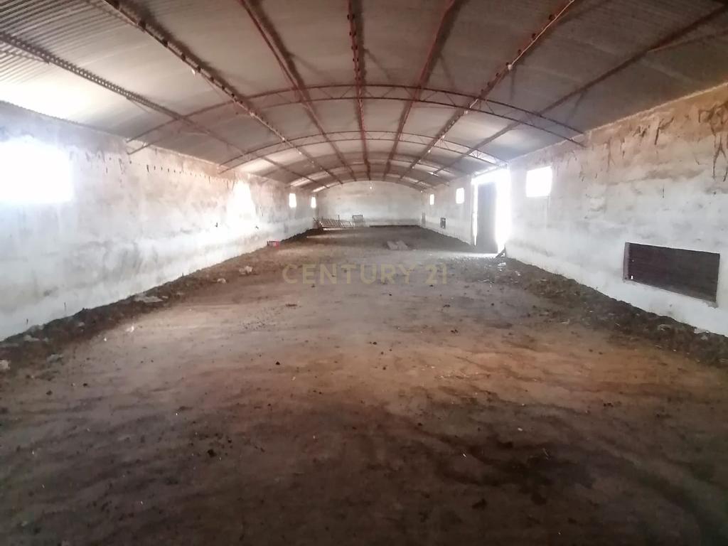 Beja, 2040,150 m2 de Armazéns Diversos instalados em 7190,690 m2 de terrenos Urbanos e ainda 2,5 hectares de terrenos Rústicos - Image 1