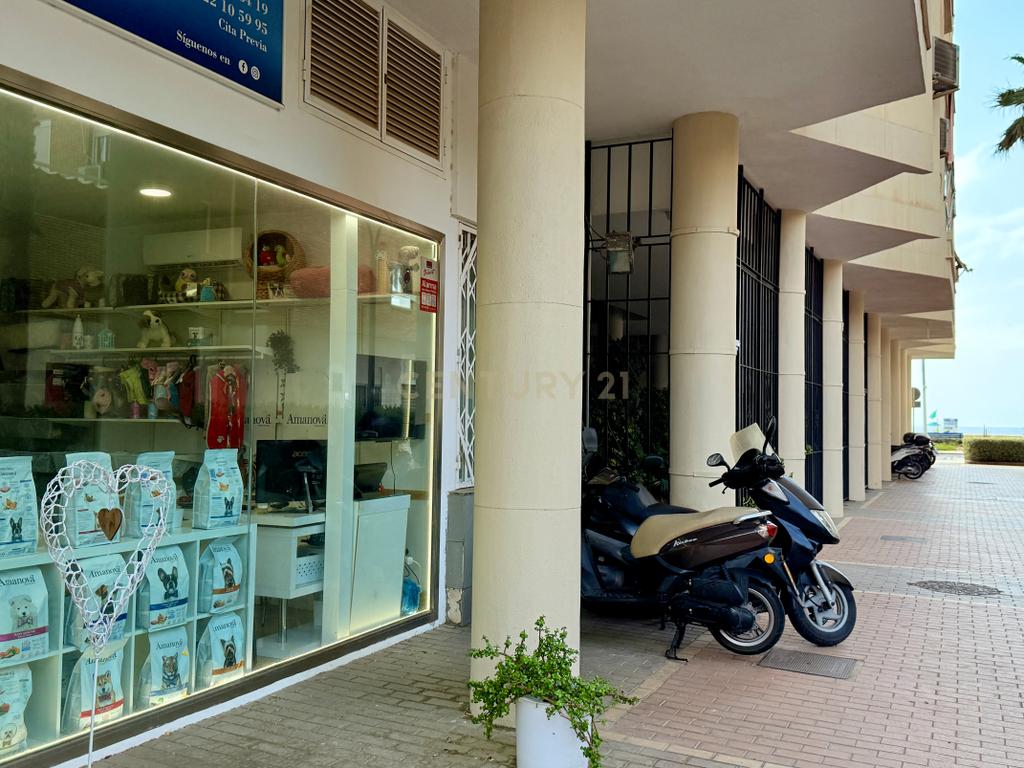  - Image 6