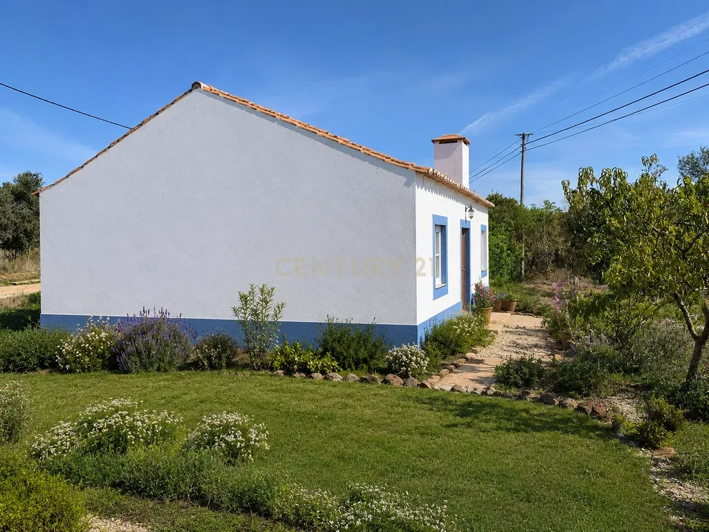 Quinta a 20 km da Costa Vicentina, 8.250m2 de terreno - Image 2