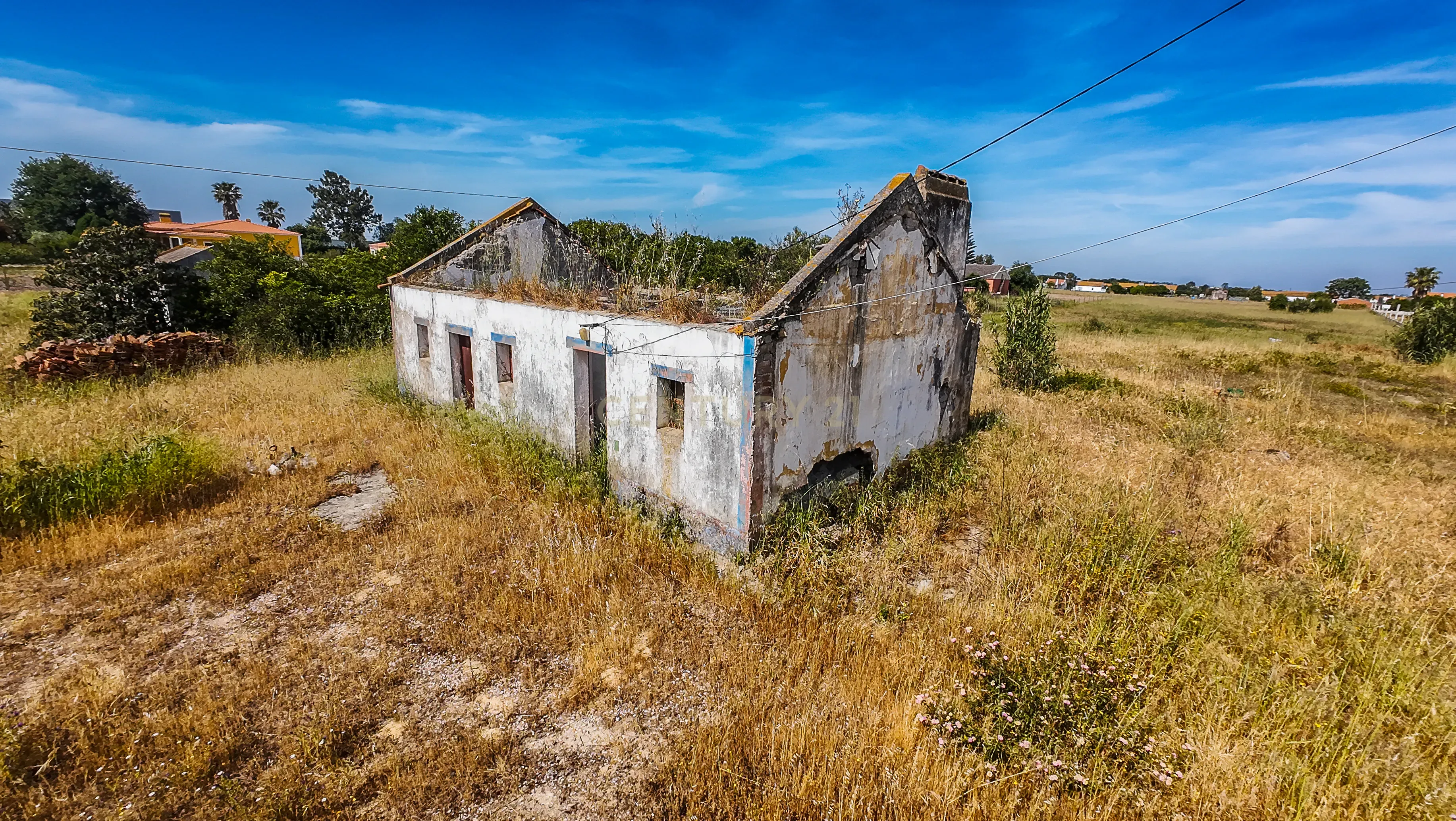 Fotografia 7 de Herdade em Pegões - Foros do Trapo