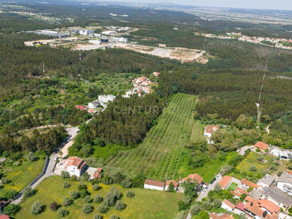 Quinta com 8 hectares com potencial para construção – Antanhol - Coimbra - Image 13