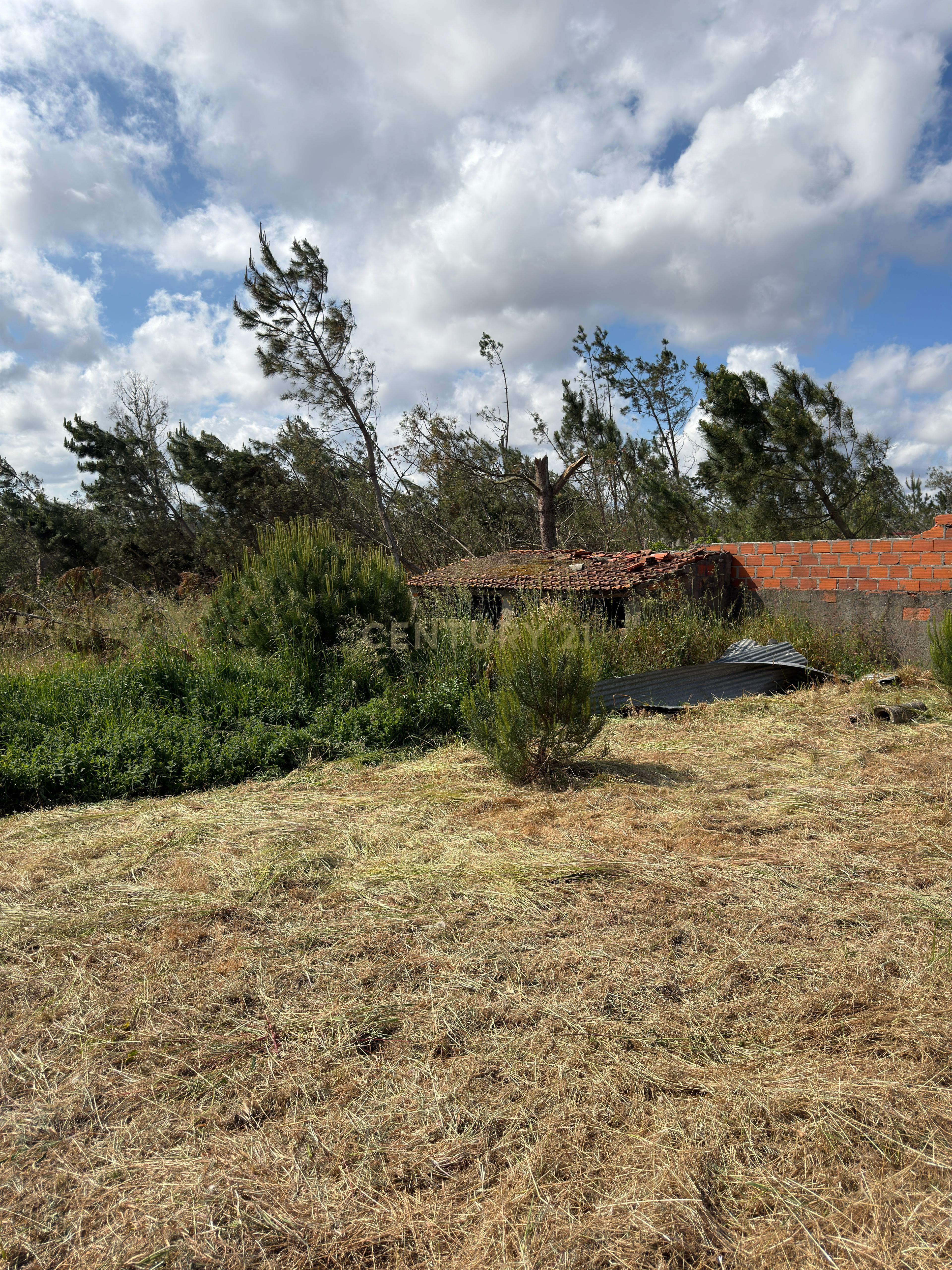 Fotografia 11 de Moradia T7 com Enorme Potencial em Lote Total de 5.611 m²