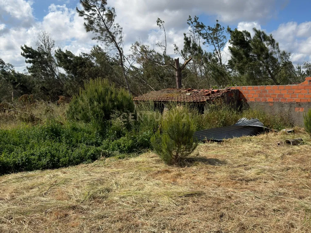 Moradia T7 com Enorme Potencial em Lote Total de 5.611 m² - Image 6