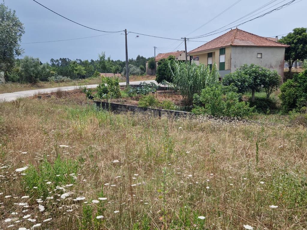 Terreno com 2020m2 para construção em Carnide - Image 29