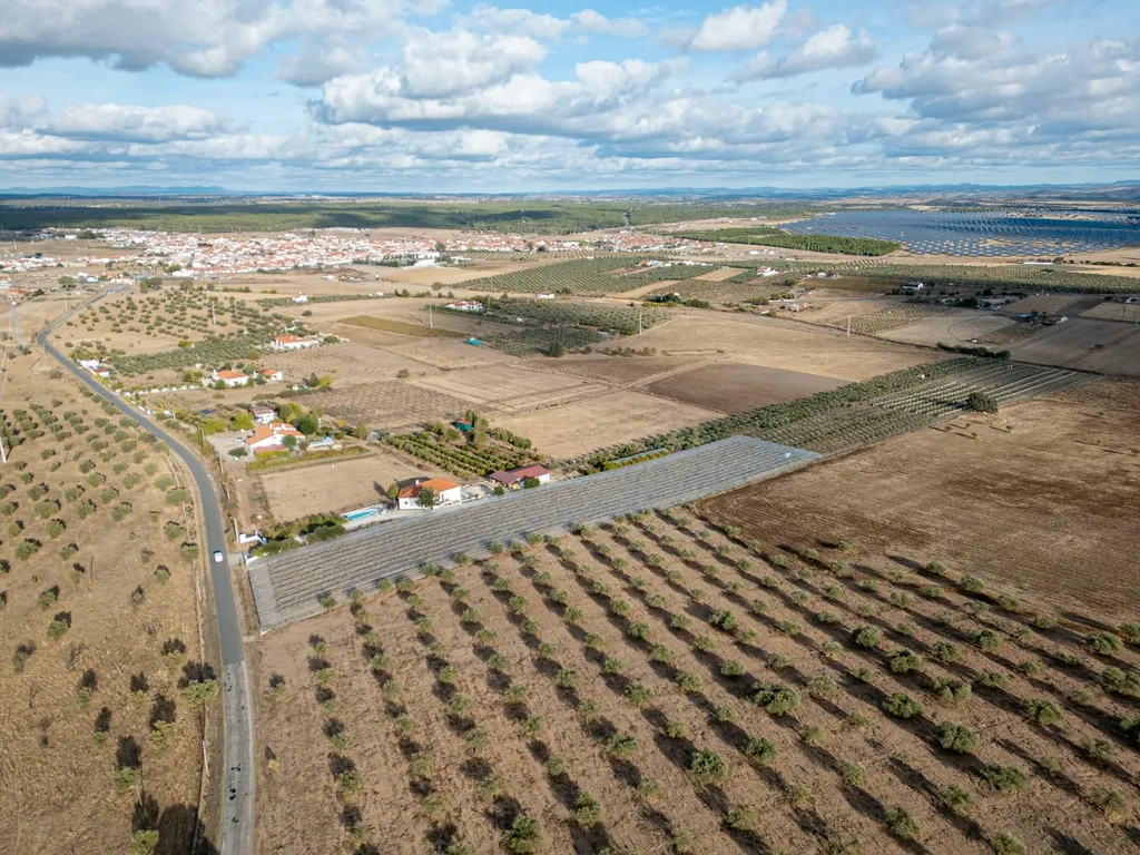 🌿 Quinta com Moradia T4 e Piscina | 3,25 hectares| Olival | Vinha| Amareleja, Alentejo - Image 11