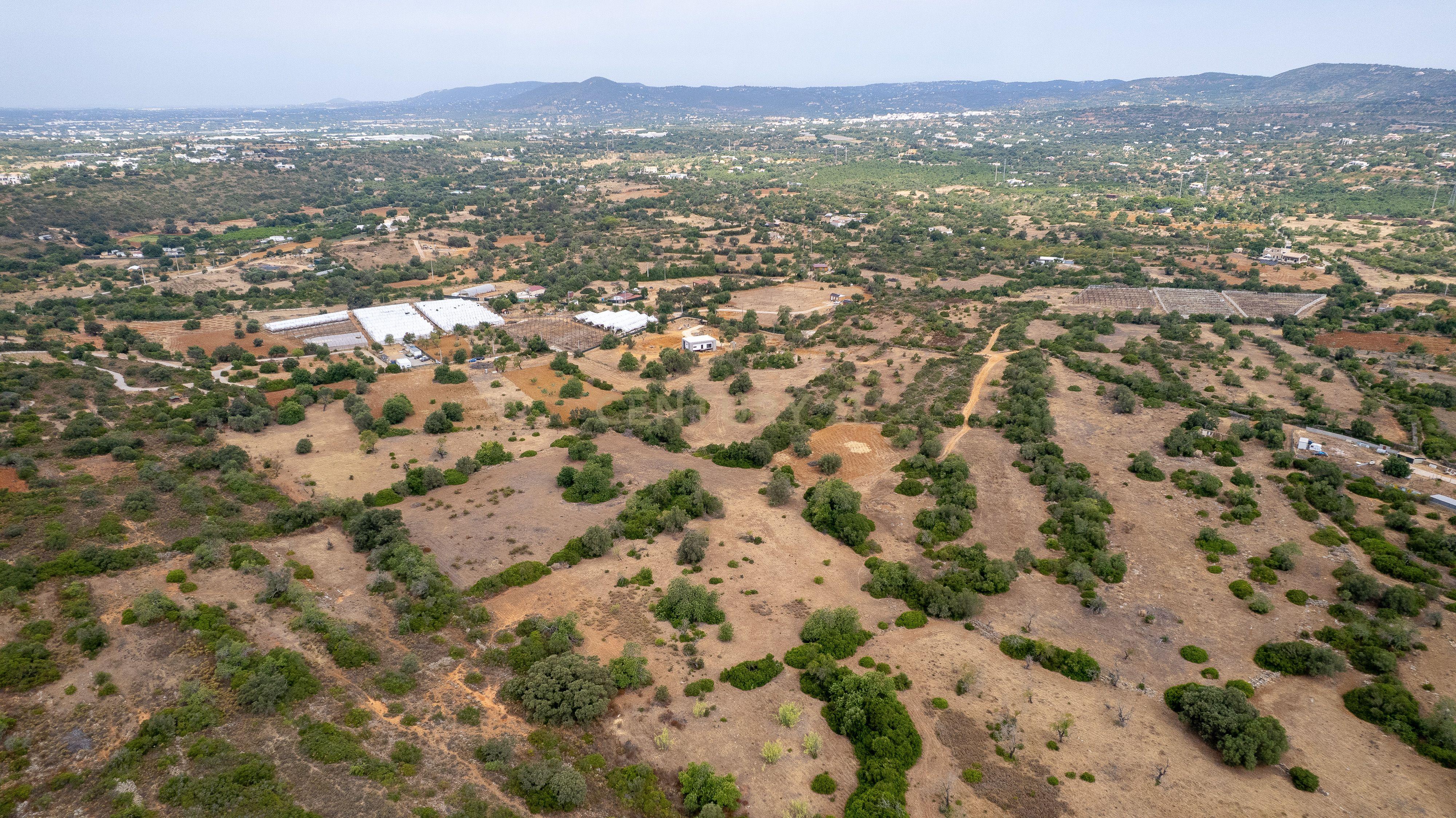 Fotografia 5 de Terreno Rústico de 7.580 m² entre Pechão e Estoi