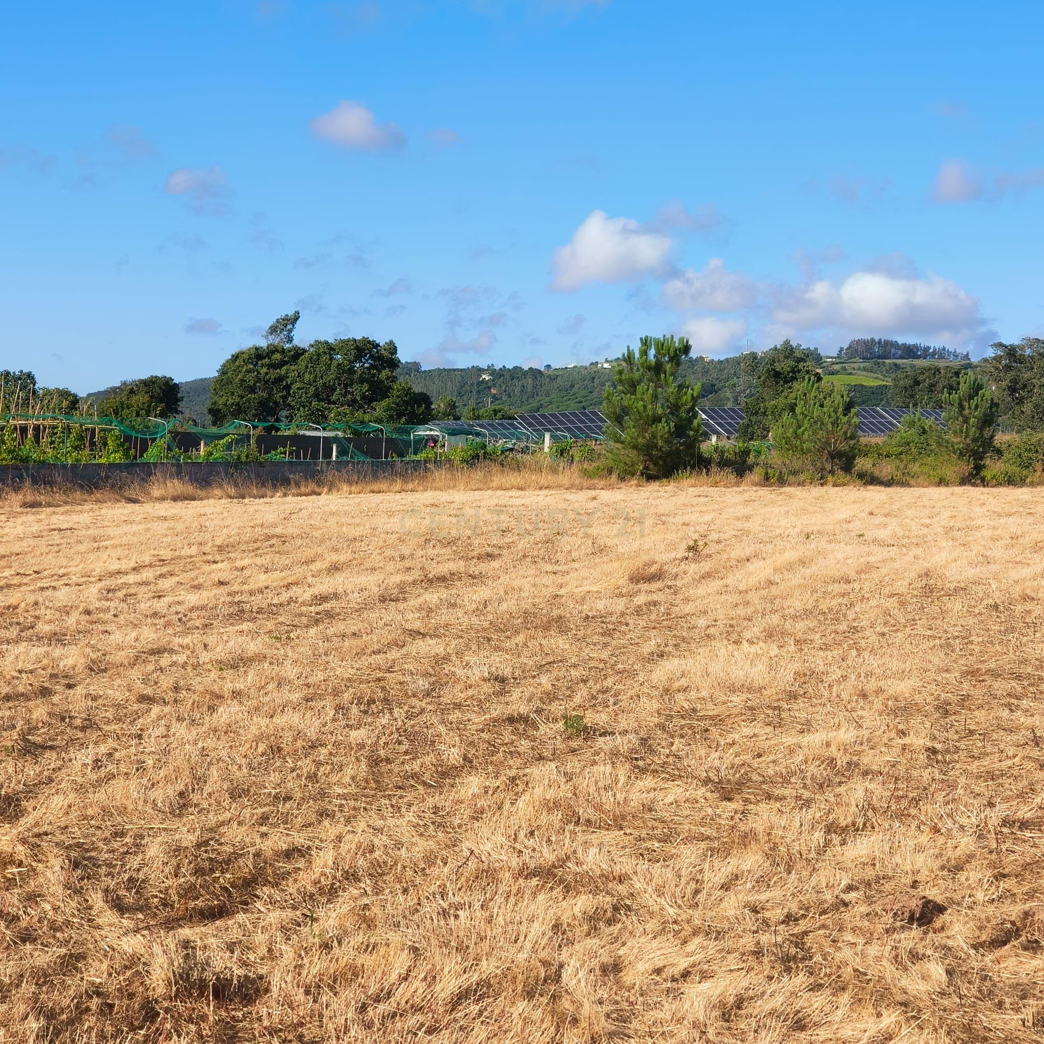 Fotografia 5 de Terreno Construtível em Alfeizerão, Alcobaça - 1700m²