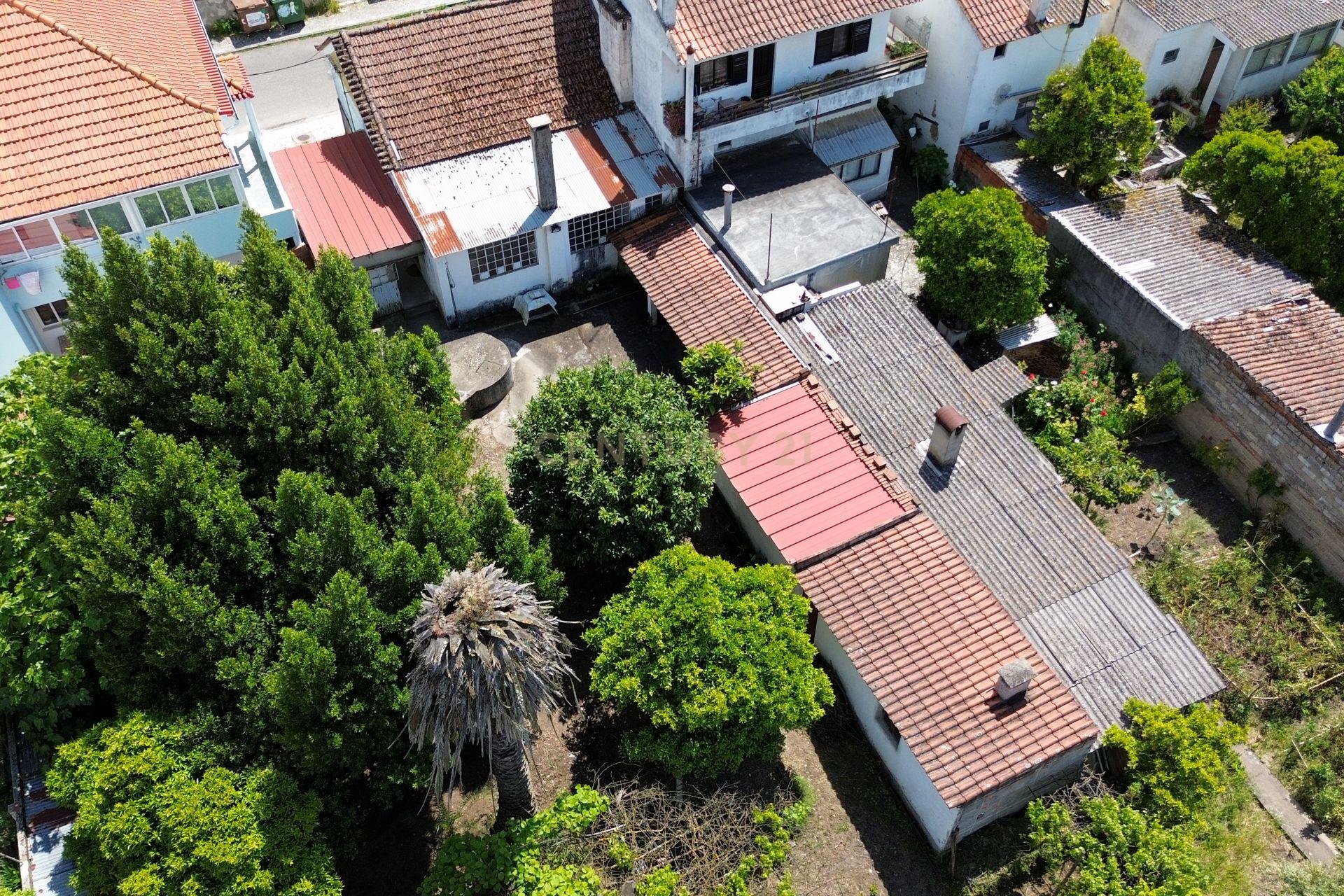 Moradia T3 com Jardim e Garagem em Santarém, Abrantes - Em Sistema de propostas Múltiplas - Image 14