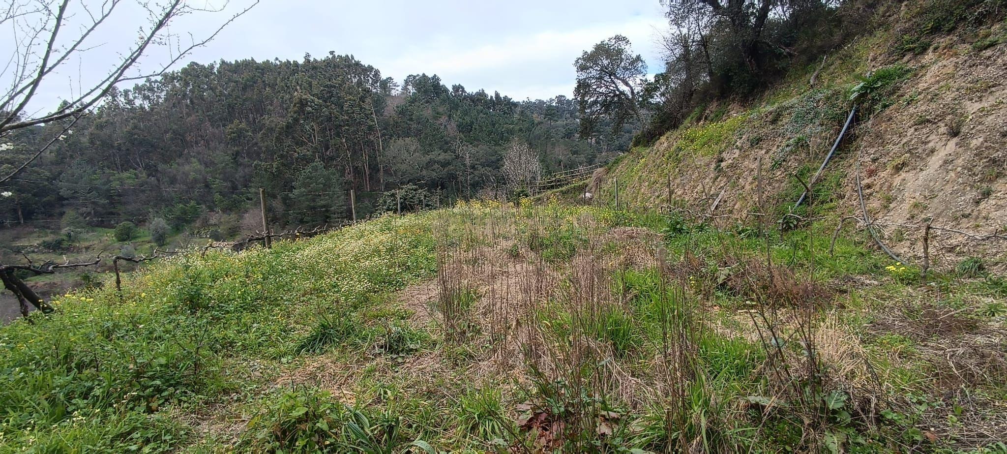 Terreno agrícola com àgua e viabilidade de construção em Granja, S. Tomé de Covelas, Baião, perto do do rio Douro, Porto - Image 36
