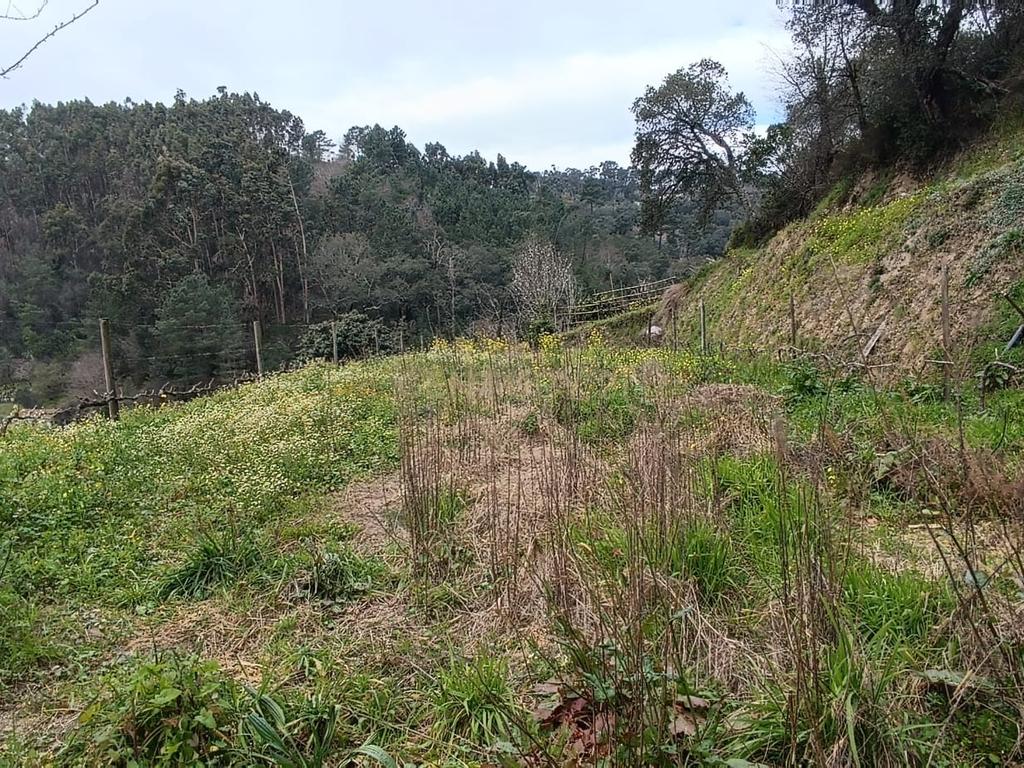 Casa com terreno de construção e agrícola perto do rio Douro em Granja, S. Tomé de Covelas, Baião, Porto - Image 40