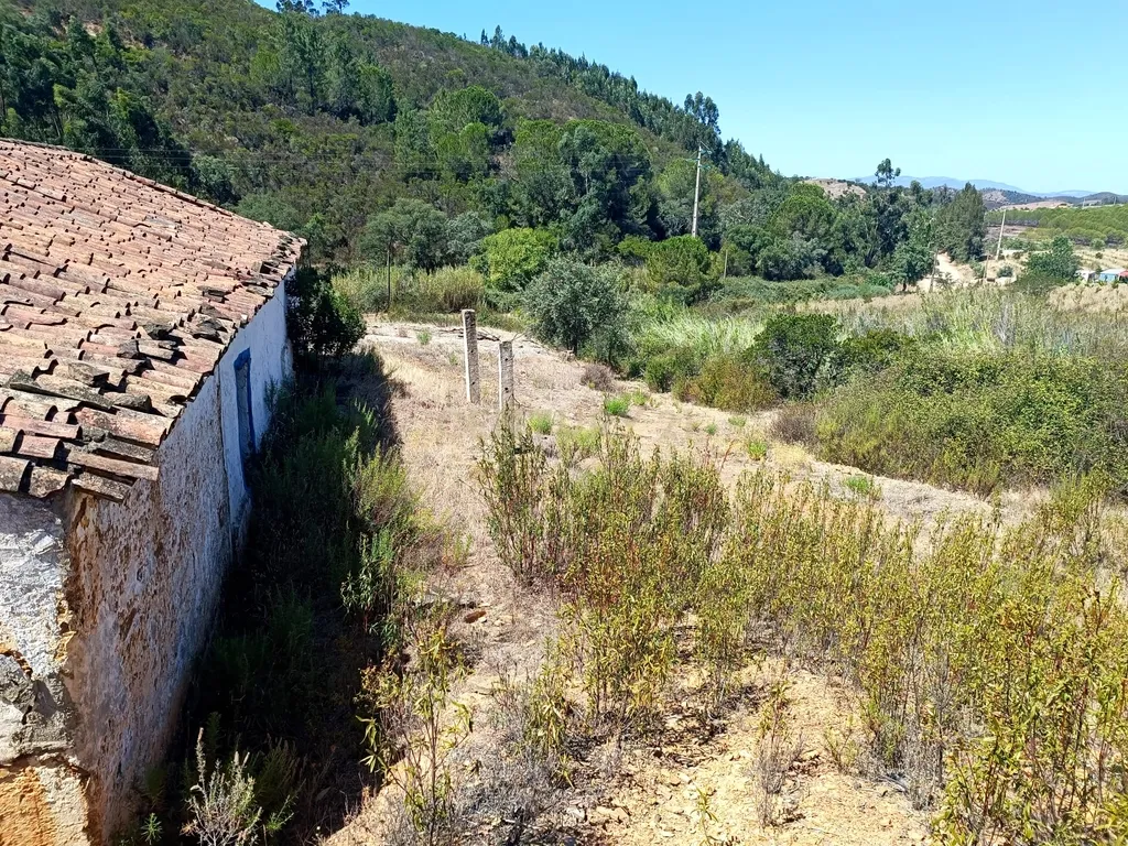 Terreno Misto com 3,66HA - Perna Seca - S. B. Messines - Image 8