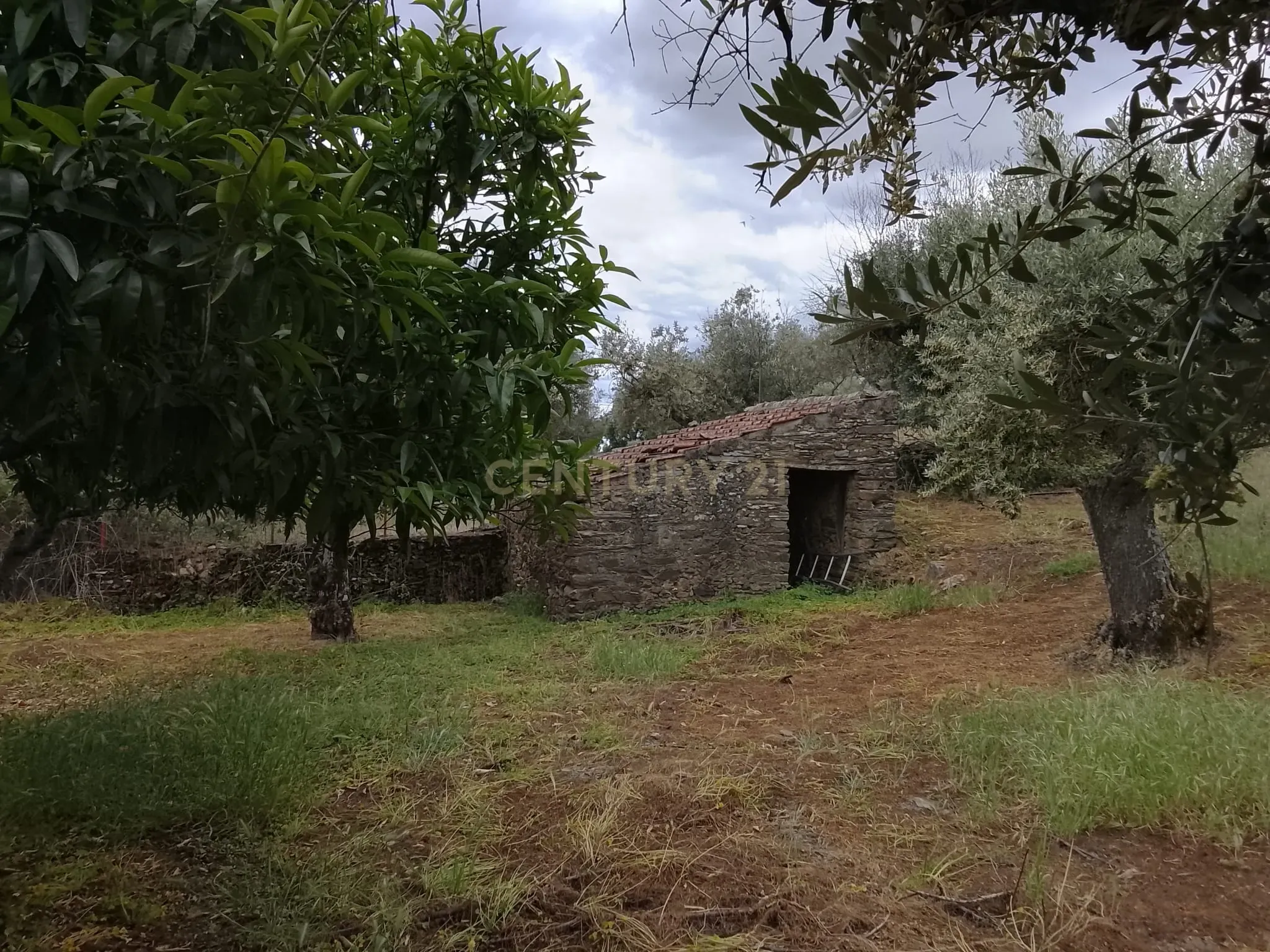 Fotografia 9 de Oportunidade! Quintinha, Cebolais de Cima - Castelo Branco