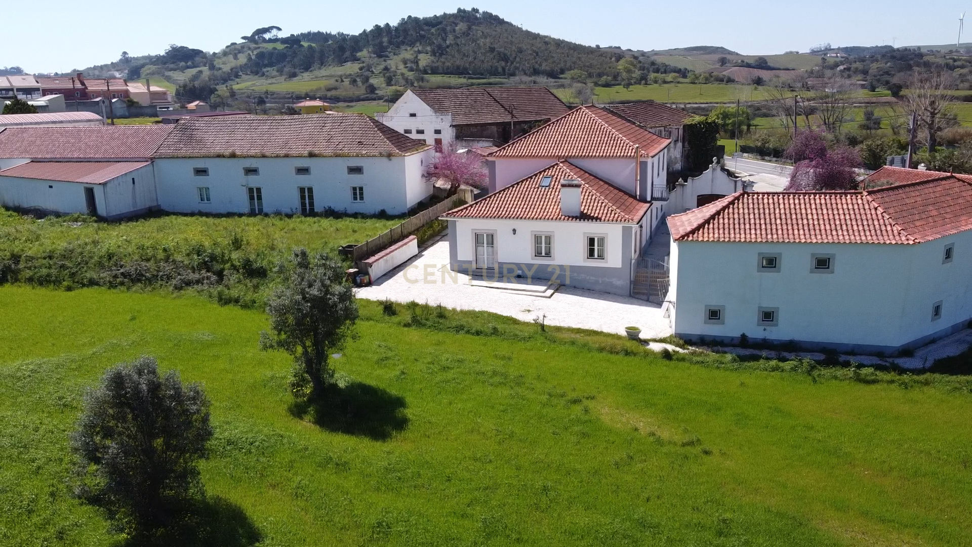 Moradia Senhorial | Sapataria - Image 18