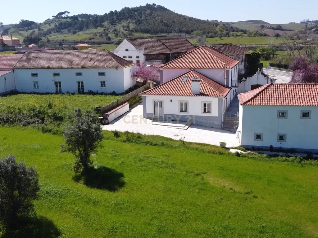 Moradia Senhorial | Sapataria - Image 18