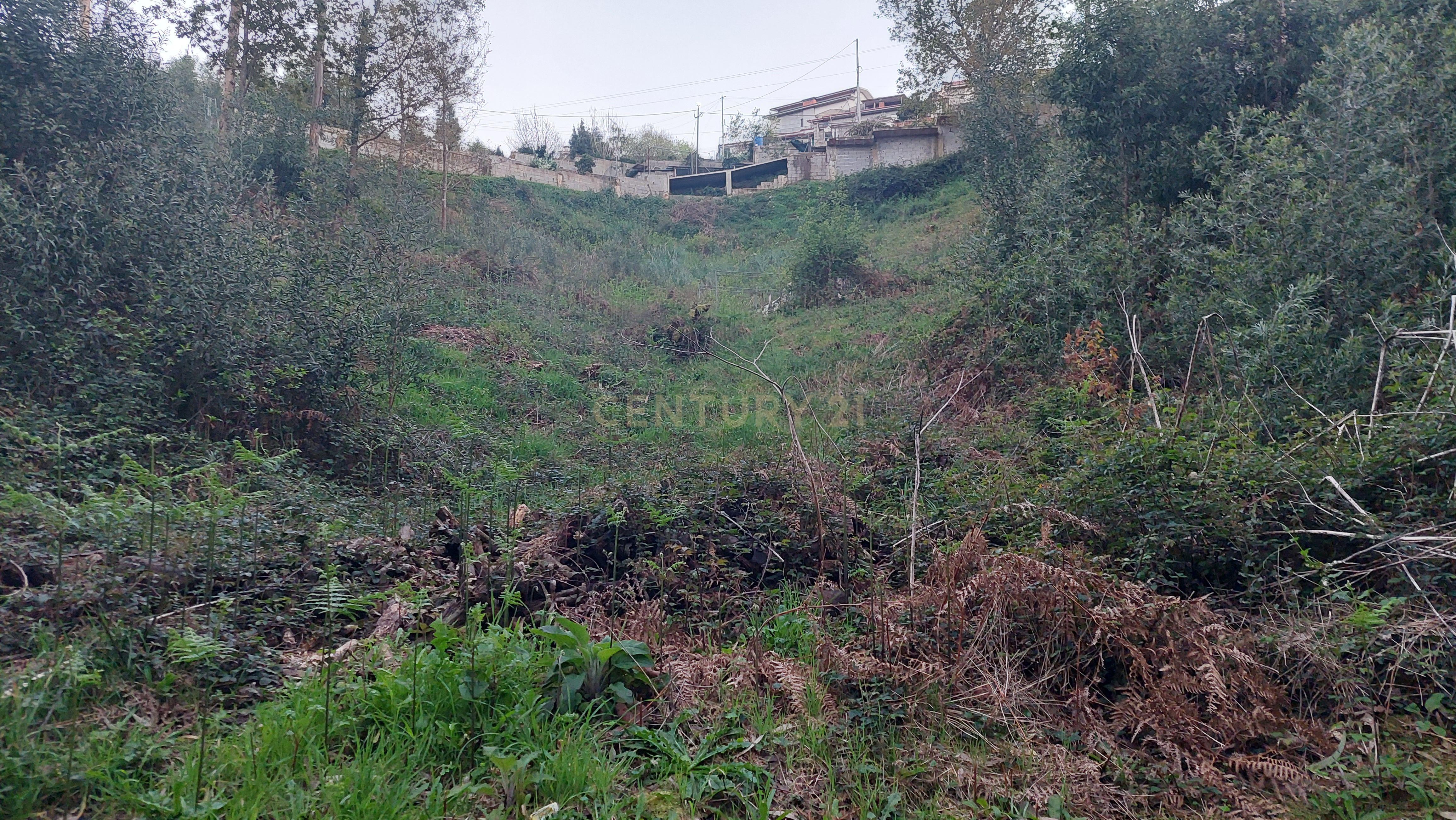 Terreno Rustico em Crestuma, Vila Nova de Gaia - Image 1