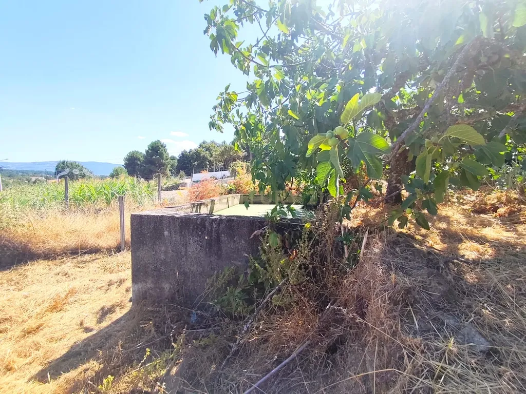 Terreno para construção em Bustelo, Chaves - 59.000€ - Image 5