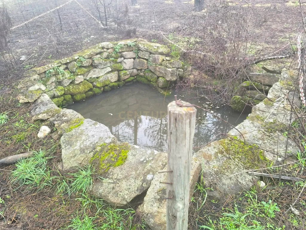 Terreno com vinha e poço - Perto da Zona Industrial de Chaves - Image 1