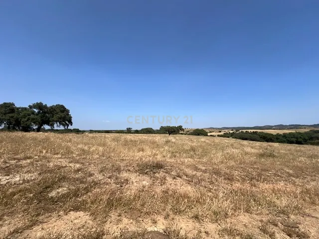 Herdade com 59,225 ha , 687m2 urbano, nascente de água, em Colos, Odemira - Image 41