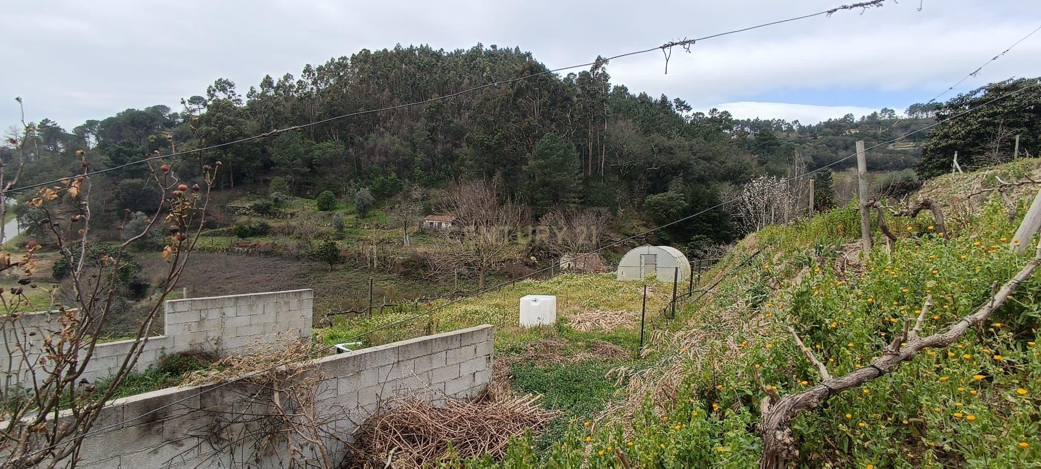 Terreno agrícola com àgua e viabilidade de construção em Granja, S. Tomé de Covelas, Baião, perto do do rio Douro, Porto - Image 27