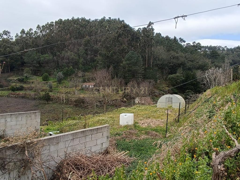 Casa com terreno de construção e agrícola perto do rio Douro em Granja, S. Tomé de Covelas, Baião, Porto - Image 34