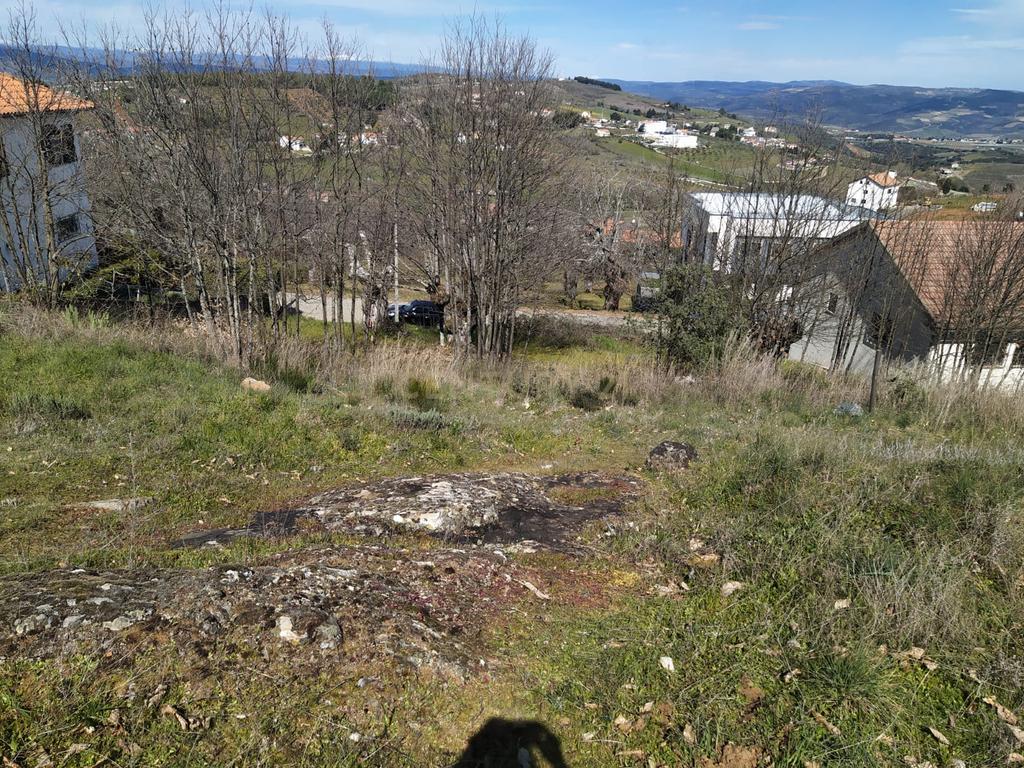Terreno para construção em Samil - Bragança - Image 9