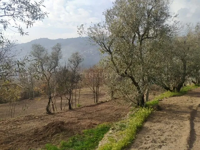 Moradia com terreno para recuperar em Cinfães - Image 1