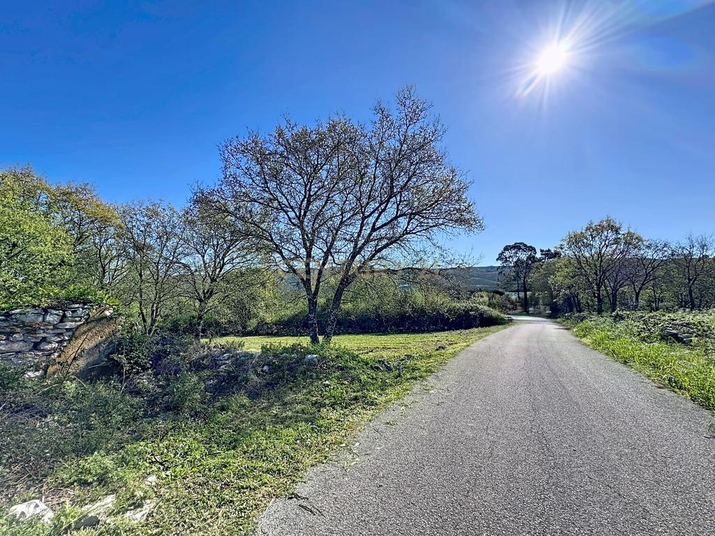 O lugar ideal para construir em plena natureza – Alcobaça - Image 7