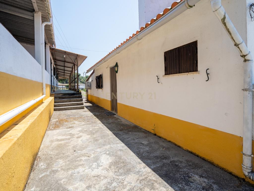 Quinta Equestre a 45 minutos de Lisboa - Image 11