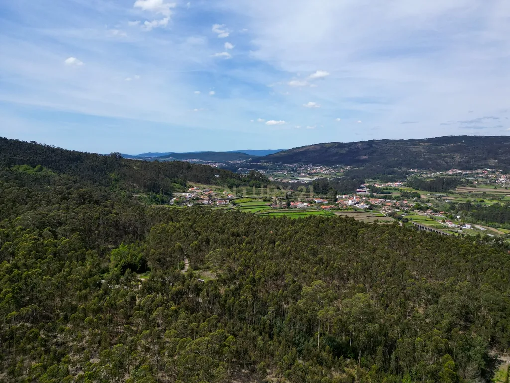 Terreno de construção em Braga, Barcelos - Oportunidade Única! - Image 6