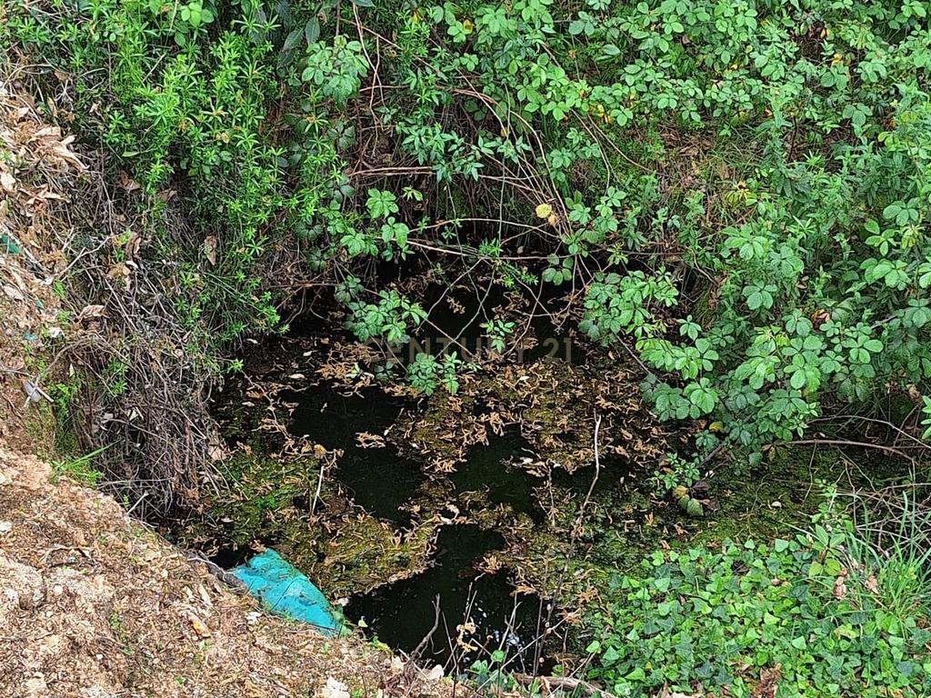 Terreno entre Caldas da Rainha e Benedita e próximo da freguesia de Santa Catarina - Image 12