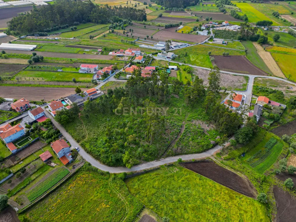 Terreno para Construção - Image 16