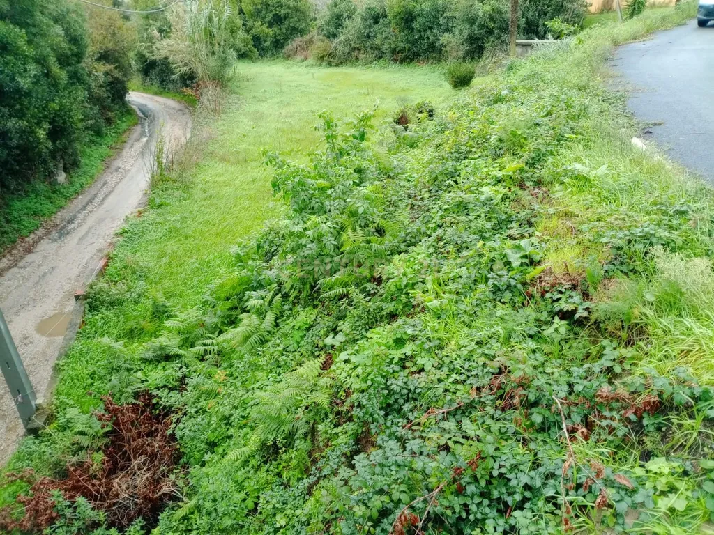 Terreno em Cacia, Aveiro - 1141m² - Image 4
