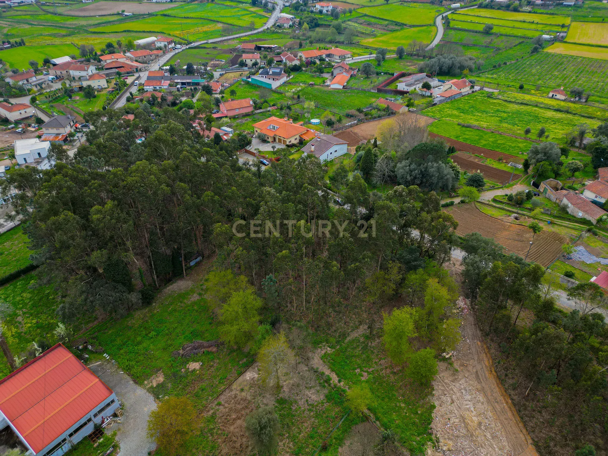 Fotografia 9 de Terreno Urbano com 2.030m2 em Oliveira, Barcelos