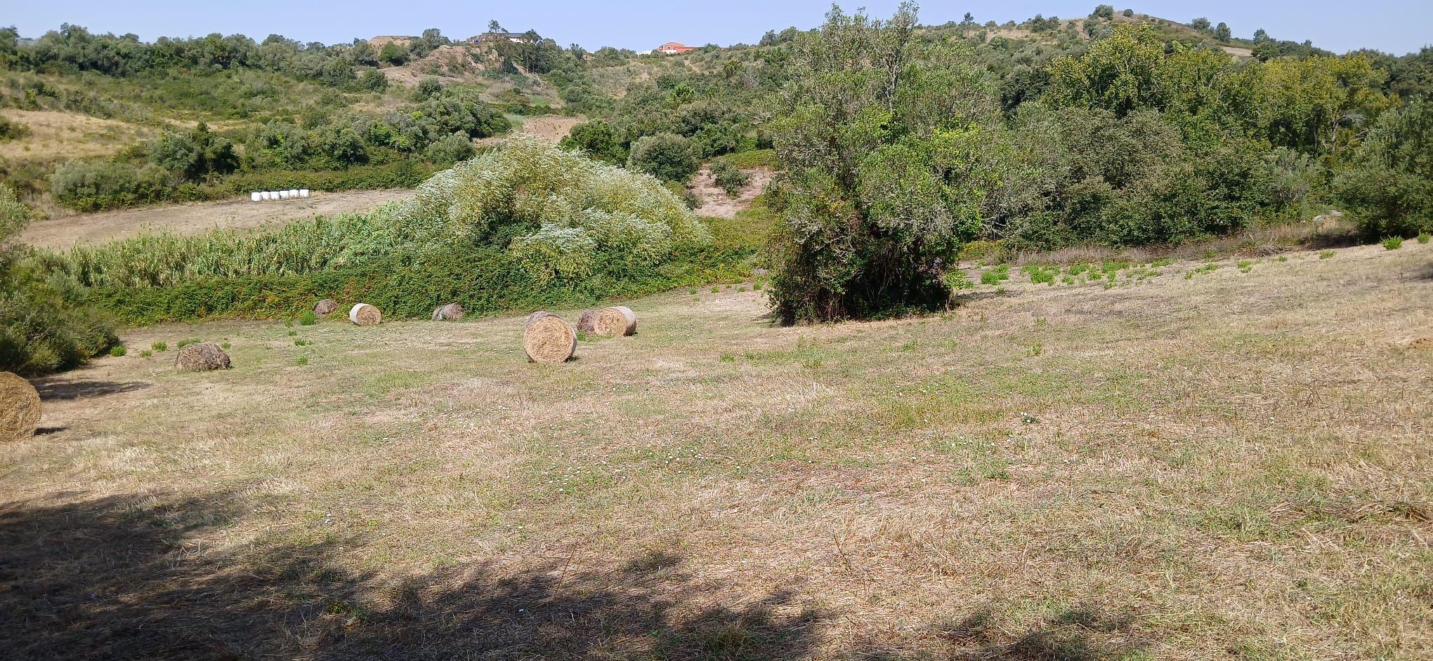 Fotografia 11 de Terreno rústico em área REN