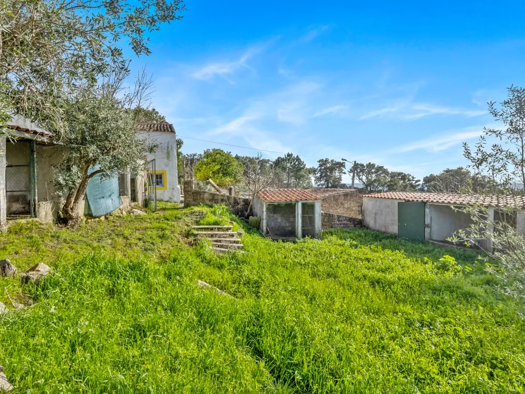 Moradia com Terreno em Portalegre - Image 2