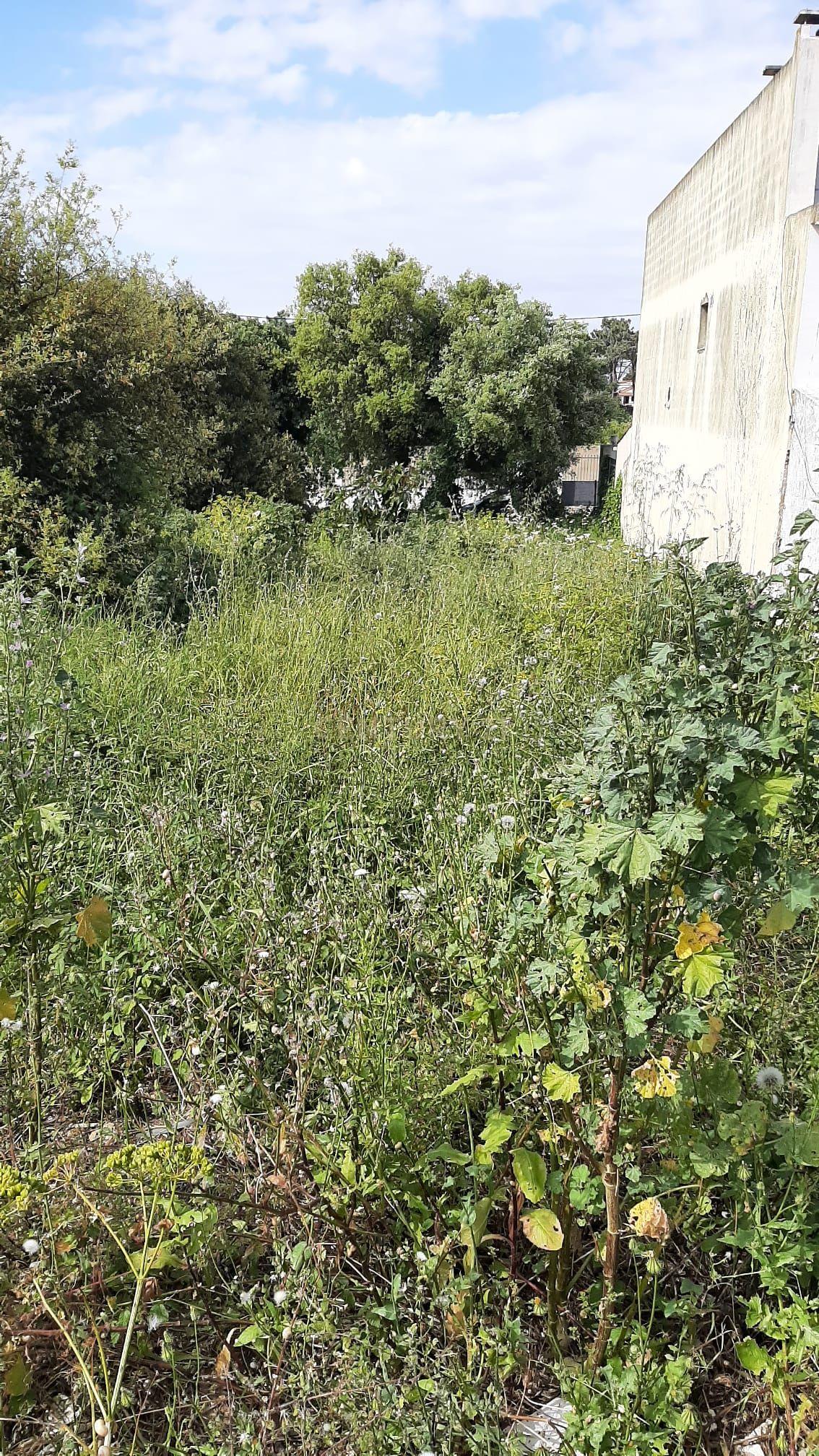 Terreno Urbano nas Quintinhas 600m2 duas frentes de estrada, ótima localização - Image 6