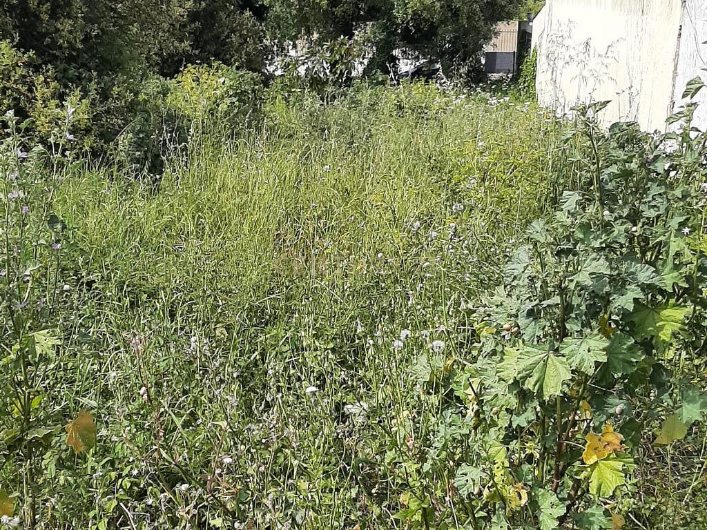 Terreno Urbano nas Quintinhas 600m2 duas frentes de estrada, ótima localização - Image 7